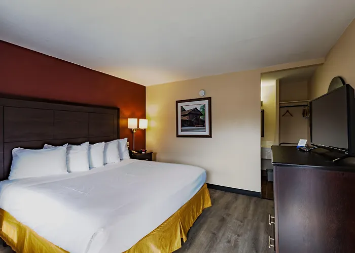 Super 8 By Wyndham West Route 66 - Grand Canyon Area Hotel Williams