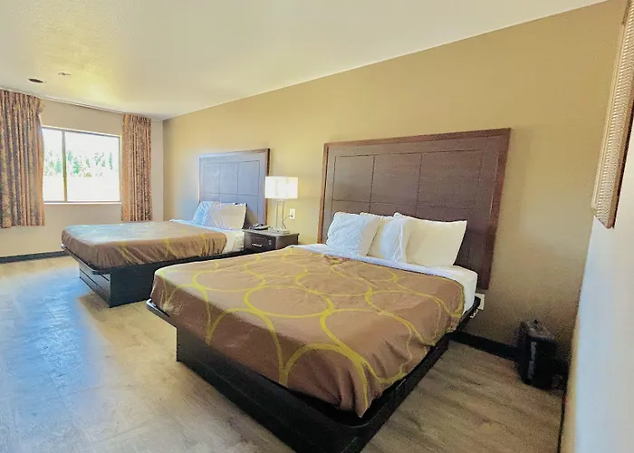 Super 8 By Wyndham West Route 66 - Grand Canyon Area Hotel Williams